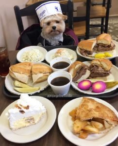 Instagram's Popeye the Foodie Visits Philippe's